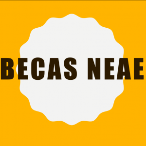 Becas NEAE